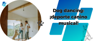 dog dancing: ¡deporte canino musical!